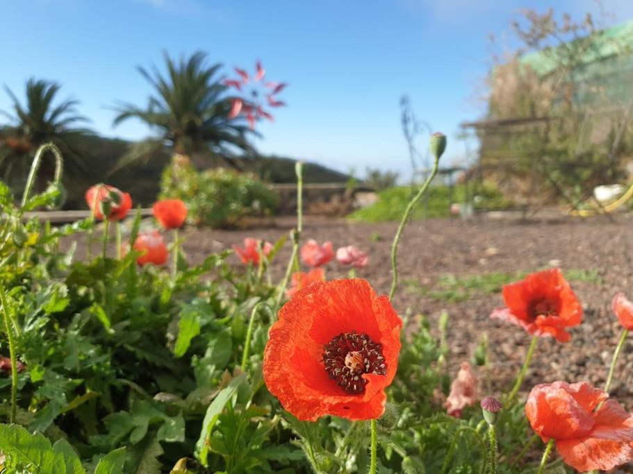 Casa Tara Ruhe Und Entspannung, Natur Pur Acardece Esterno foto