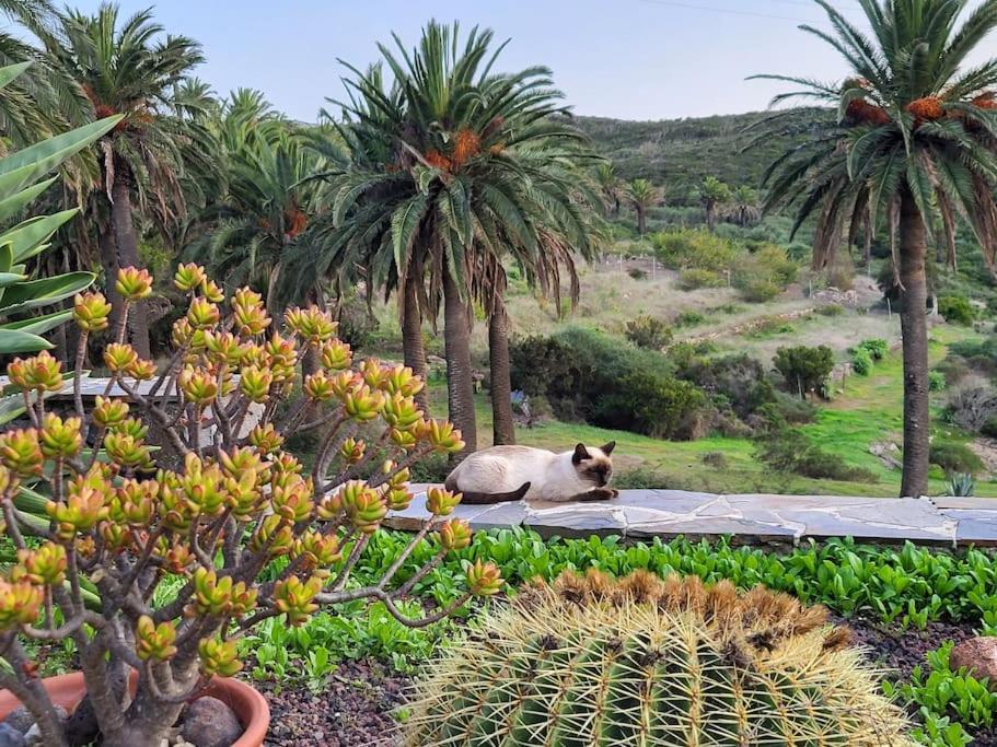 Casa Tara Ruhe Und Entspannung, Natur Pur Acardece Esterno foto
