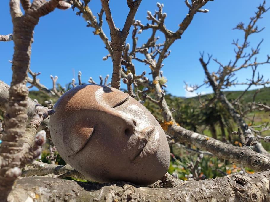 Casa Tara Ruhe Und Entspannung, Natur Pur Acardece Esterno foto