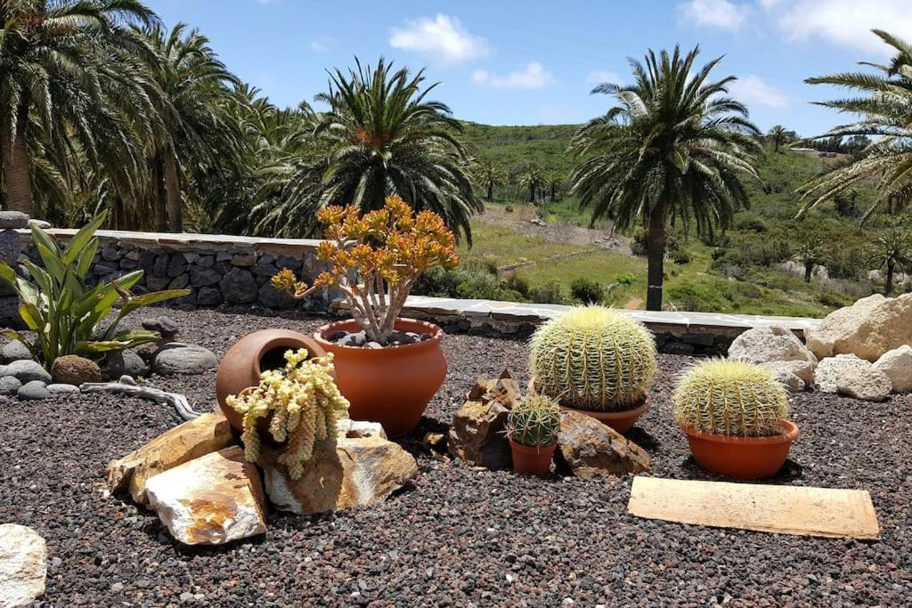 Casa Tara Ruhe Und Entspannung, Natur Pur Acardece Esterno foto
